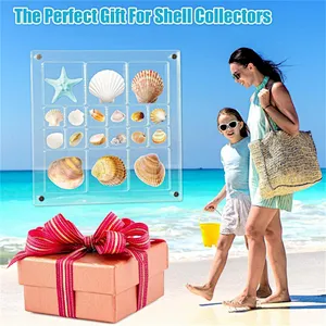Acrylic Magnetic Seashell Display Box