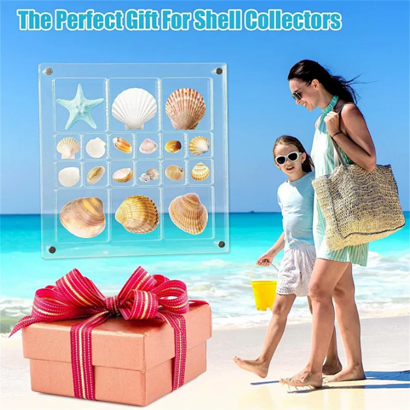 Acrylic Magnetic Seashell Display Box